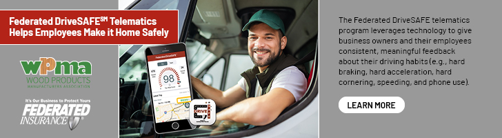 The Federated DriveSAFE flyer